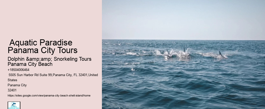 Shell Island Sightseeing Trips