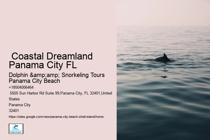  Shell Island Tours In Panama City Beach - Adventures At Sea