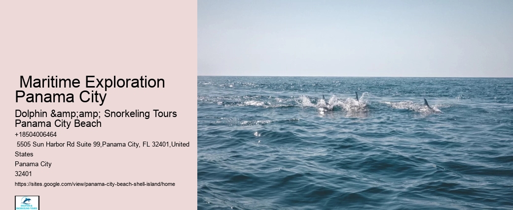  Shell Island Seashore Serenity Tours