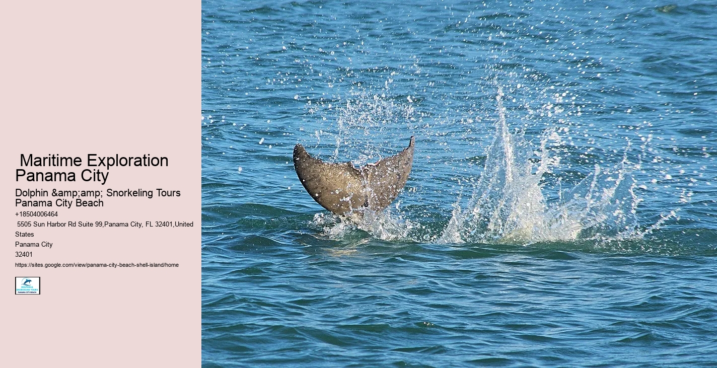  Panama City Unspoiled Wetlands Tours