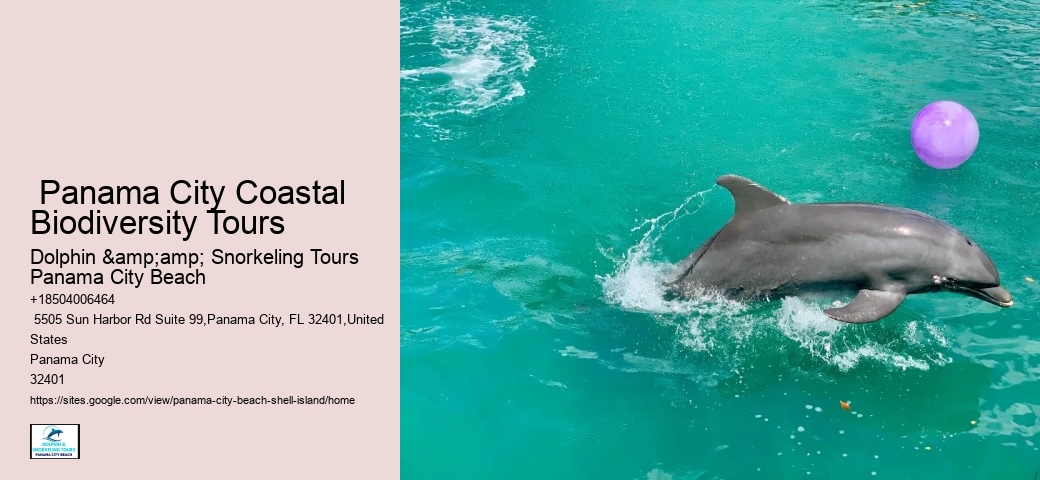  Panama City Watercraft Discovery Tours