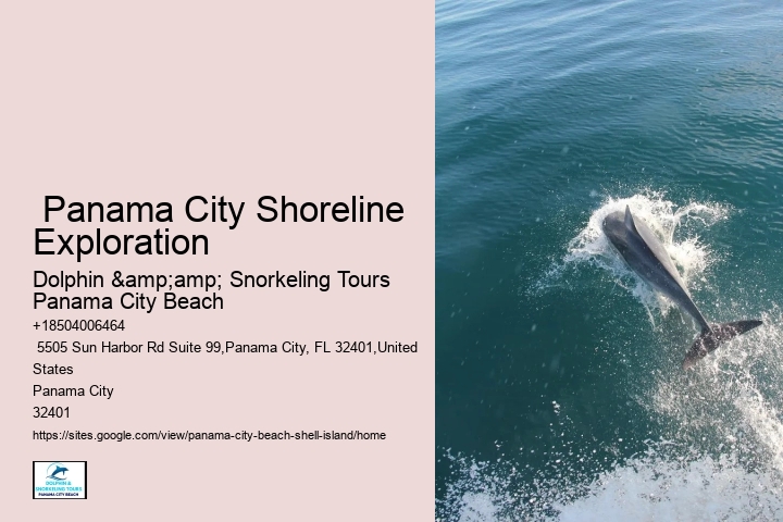  Island Excursions