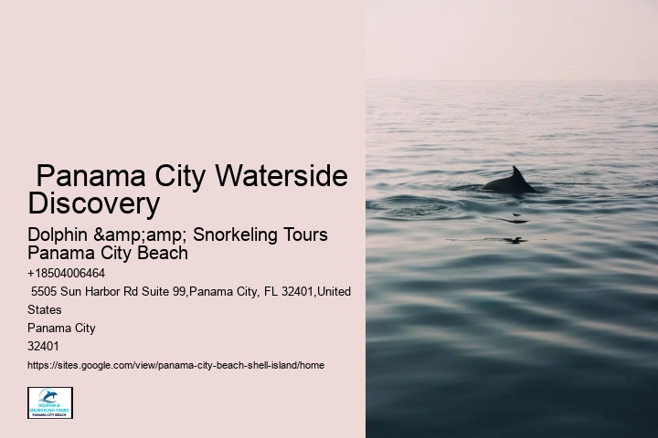  Panama City Shelling Adventures