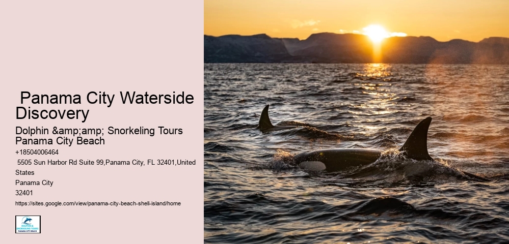Shell Island Excursions Panama City Beach Florida