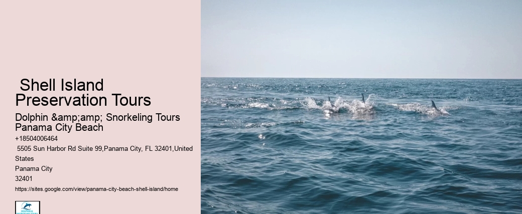  Shell Island Preservation Tours