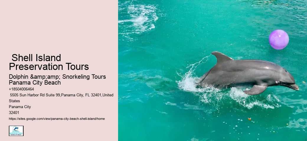  Panama City Dolphin