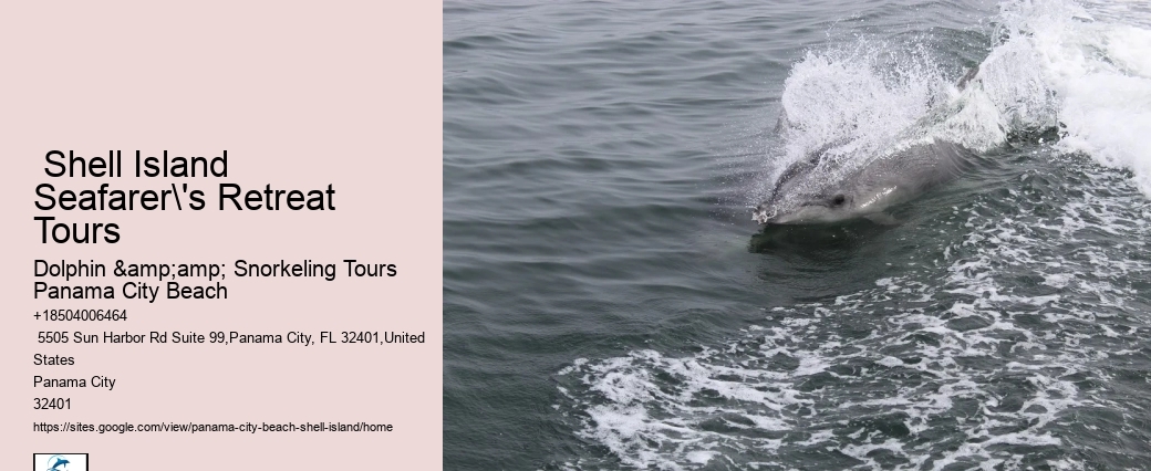  Shell Island Tours In Panama City Beach