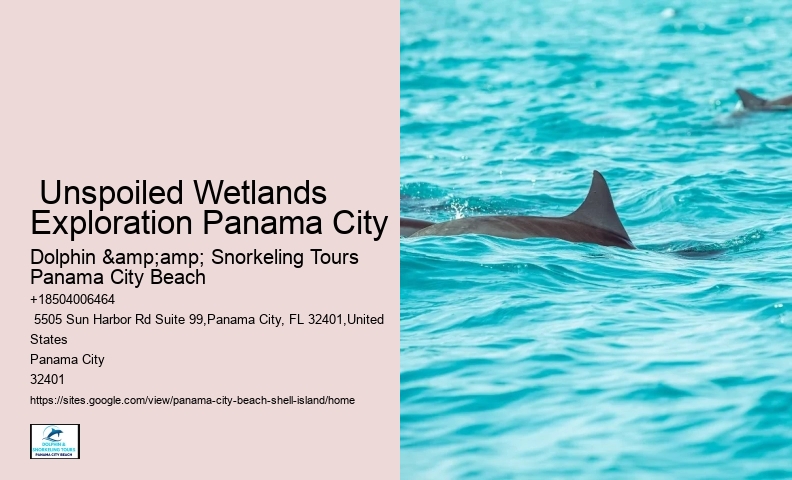  Coastal Paradise Panama City Excursions