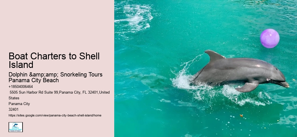  Panama City Beach Shell Island Adventures