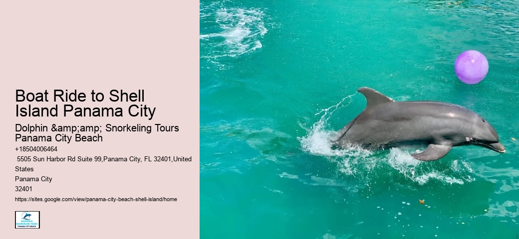  Shell Island Dolphin Tours