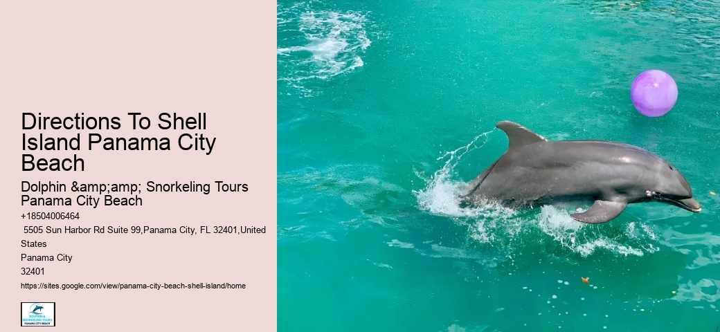  Shell Island Excursions Panama City Beach Fl