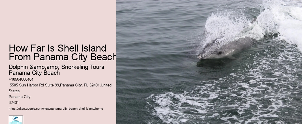 Visiting Shell Island 