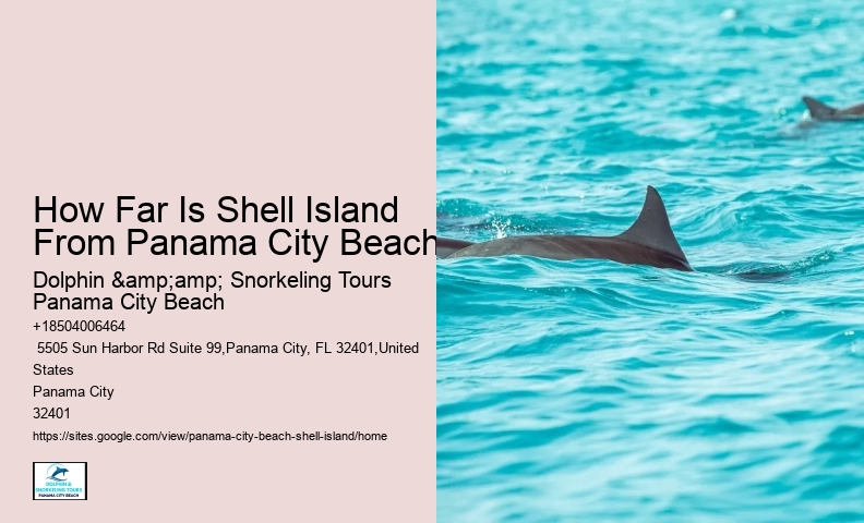  Shell Island Wildlife Tours FL