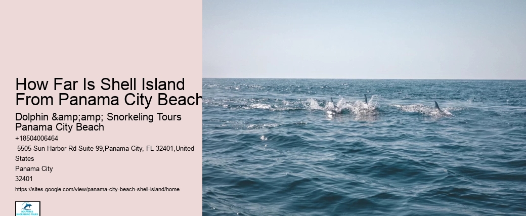  Shell Island Panama City Tours