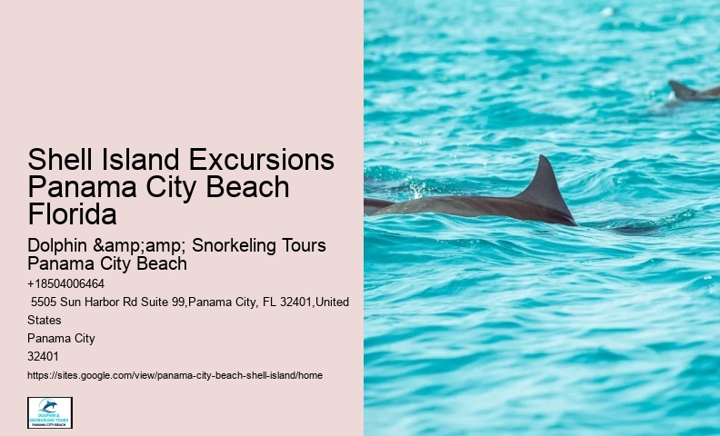  Inflatable Water Park Pcb Dolphin Boat Tour
