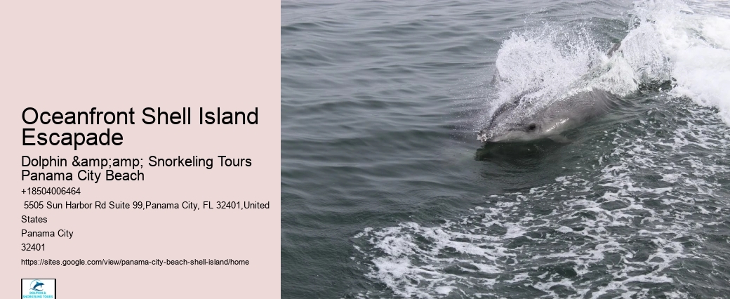  Shell Island Boat Tours Panama City Beach Fl