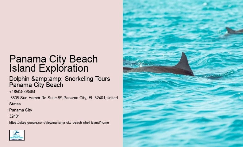  Shell Island Boat Trips Florida