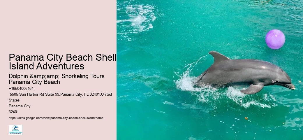  Shell Island Navigating the Waters