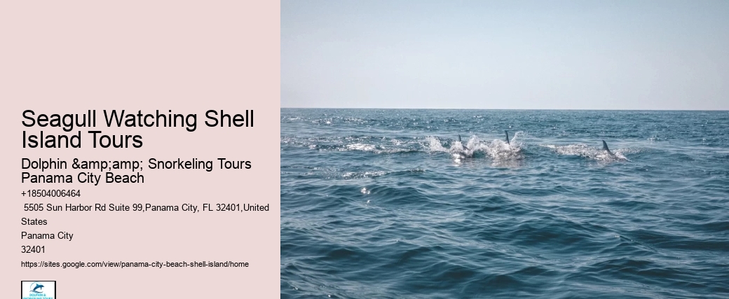  Tranquil Waters Shell Island Retreat