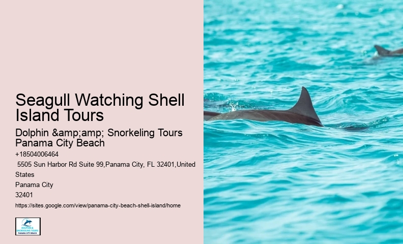  Shell Island Coastal Panorama Boatrides