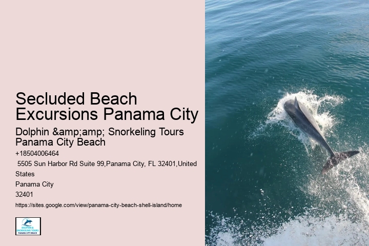  Shell Island Tours In Panama City Beach - Adventures At Sea