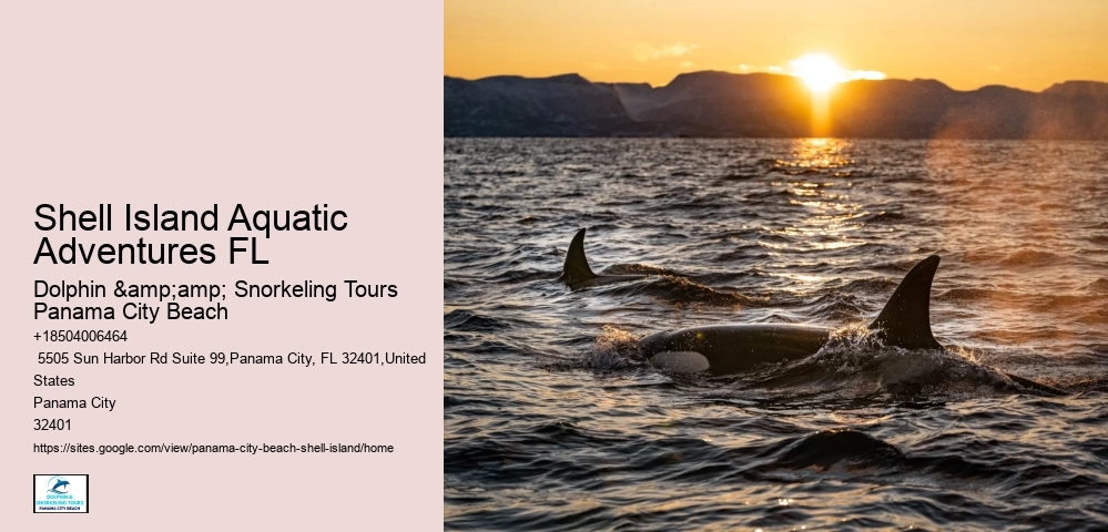   Boat Rentals