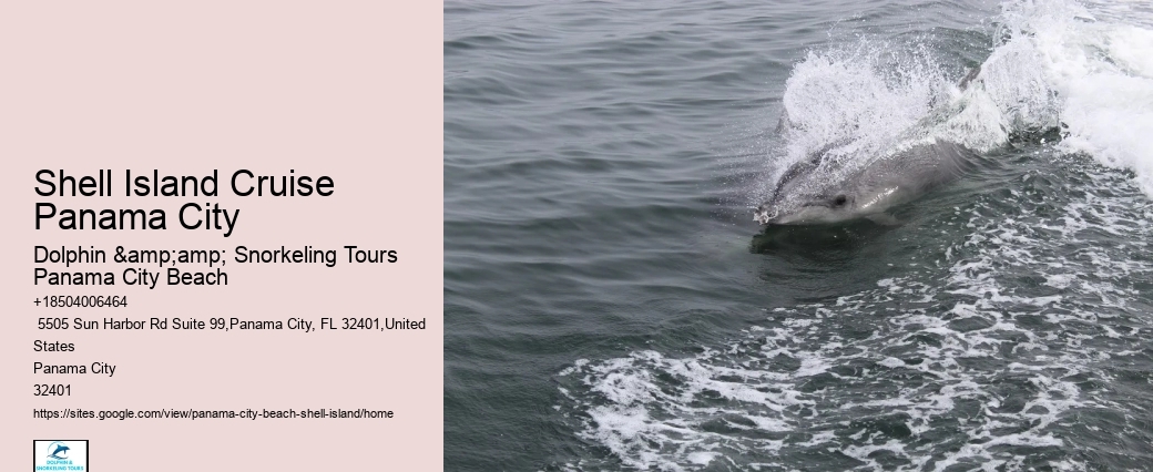  Shell Island Excursions Panama City Beach Florida Dolphin