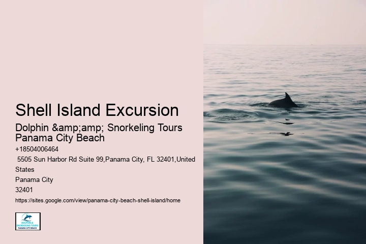  Shell Island Hidden Oasis Tours