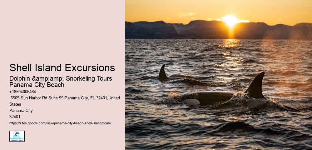  Shell Island Seafaring Excursions