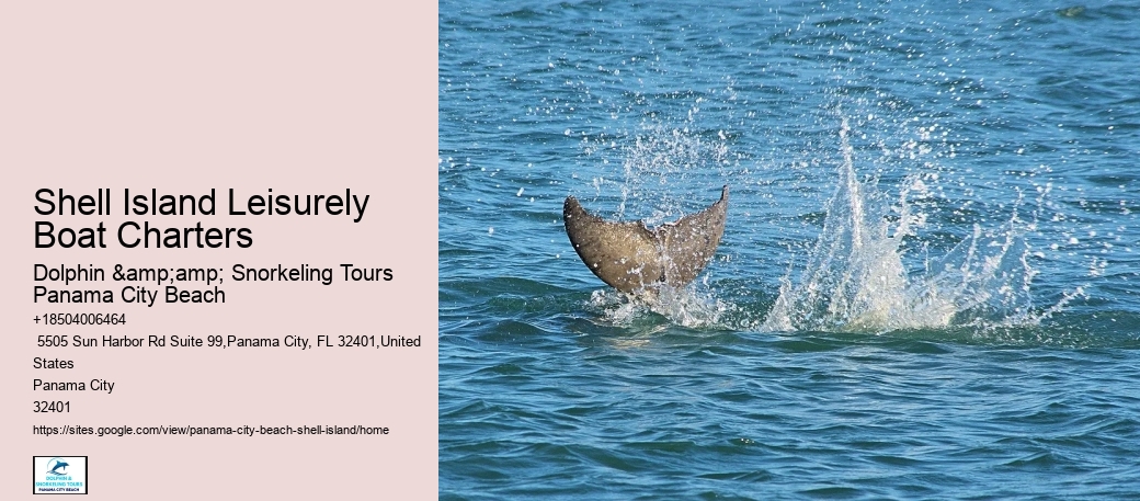  Shell Island Tranquil Oasis Excursions