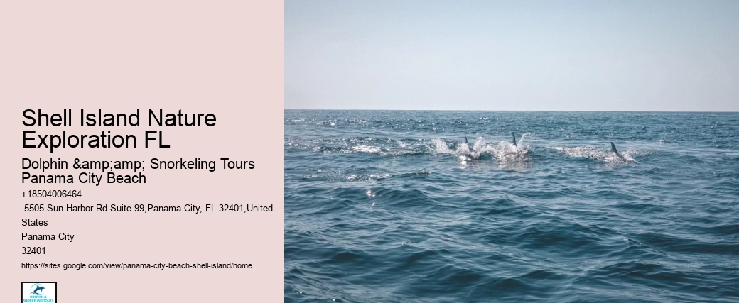  Coastal Serenity Shell Island Tours