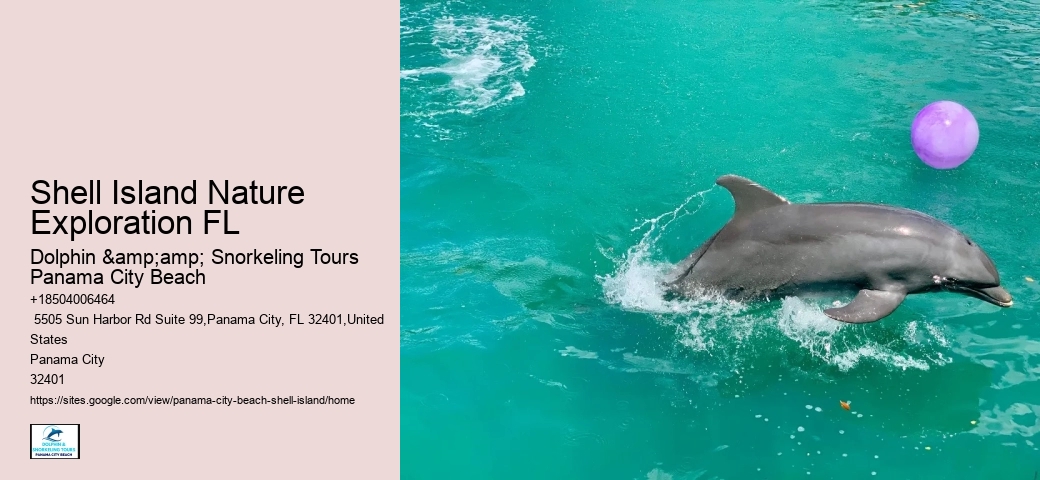  Shell Island Natural Habitat Tours