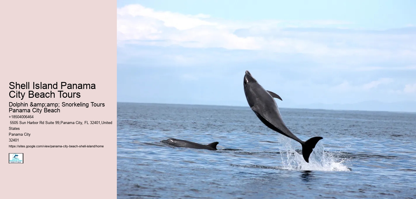  Shell Island Excursions In Panama City Beach Fl