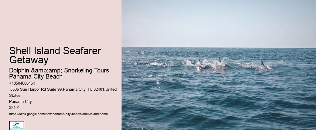  Snorkel Tours