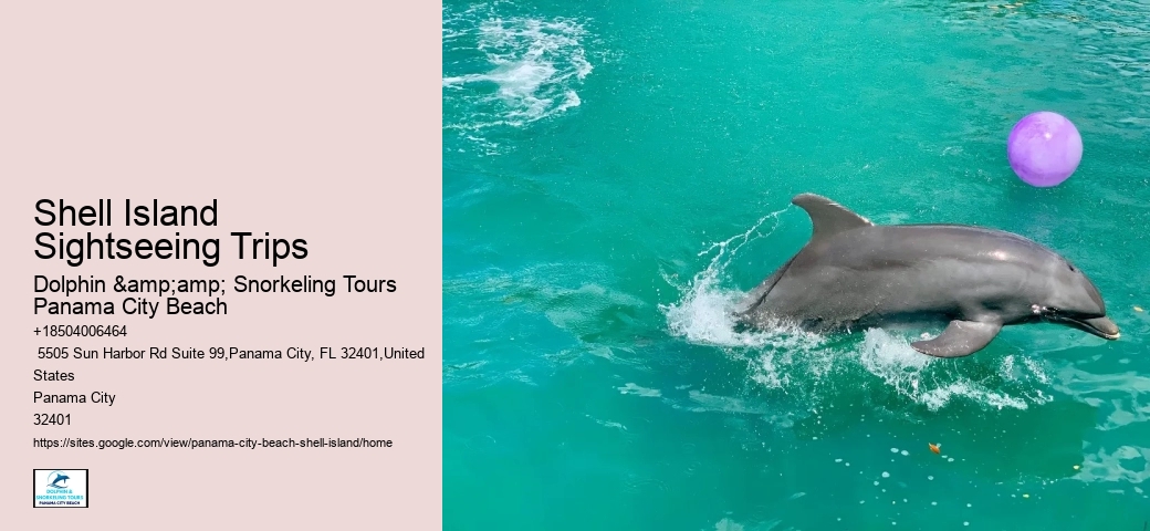  Secluded Panorama Shell Island Excursions