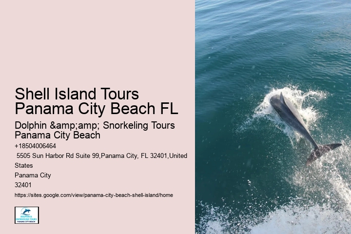  Excursions to Shell Island Panama City