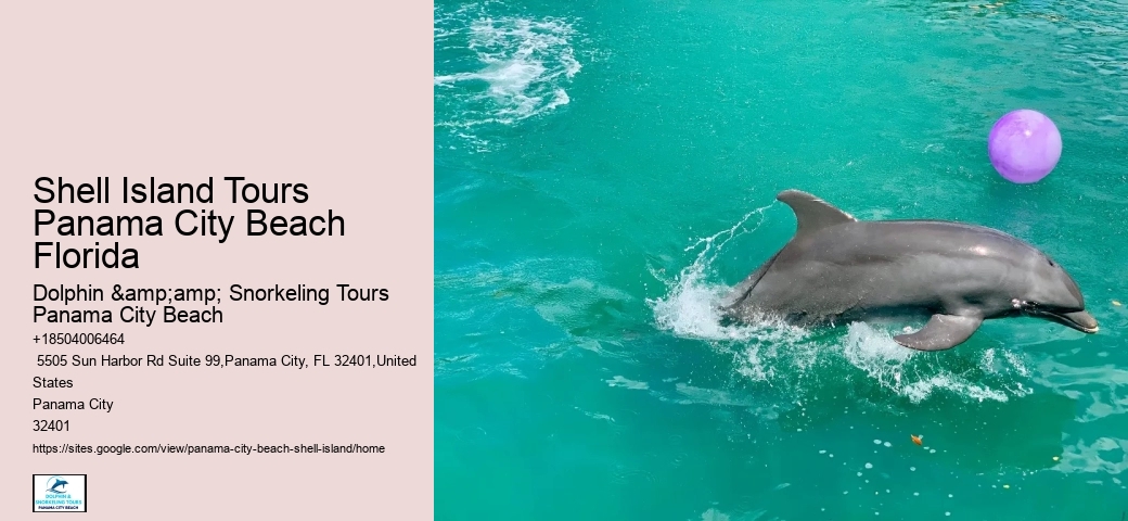  The Waters Of Shark Bay Are Saltier Than The Ocean