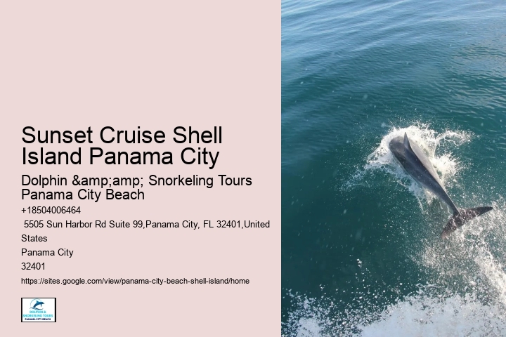  Boat Tours