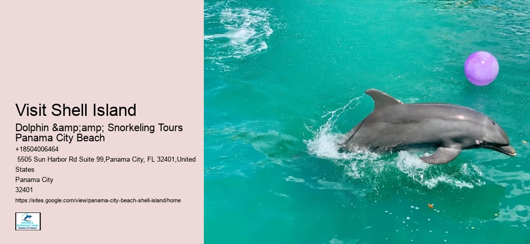  Shell Island Aquatic Adventures FL