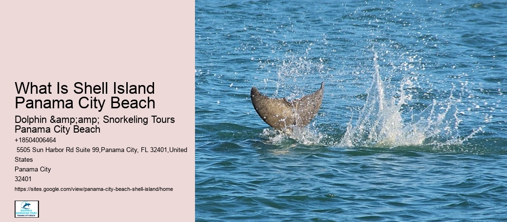  Best Shell Island Tours