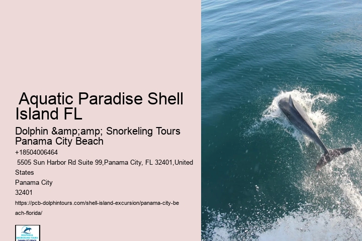  Shell Island Coastal Habitat Exploration