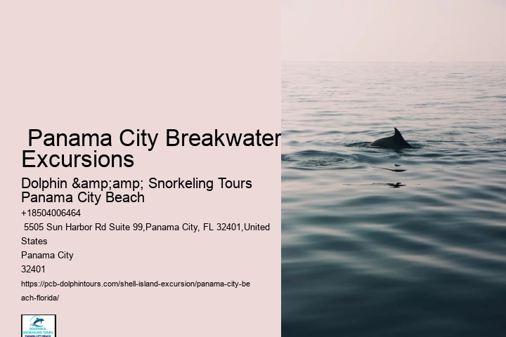  Shell Island Tours In Panama City Beach - Adventures At Sea