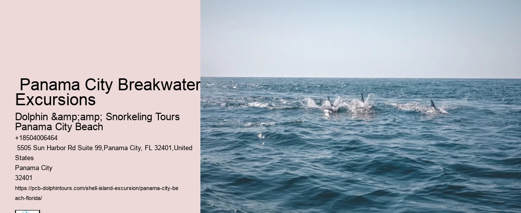  Shell Island Trips & Dolphin Tours