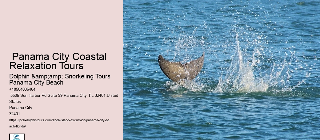 Shell Island Panama City Beach Tours