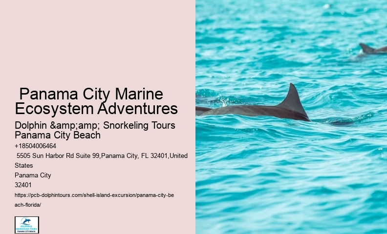  Coastal Tranquility Panama City Beach Tours