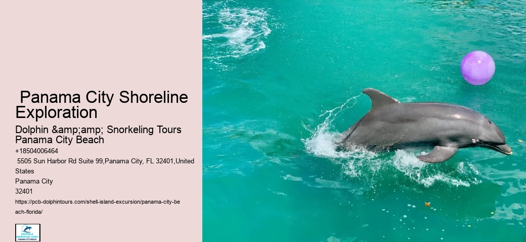  Shell Island Aquatic Paradise Tours