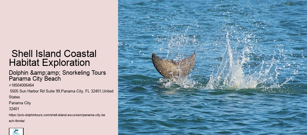  Shell Island Cruises Panama City Beach Florida