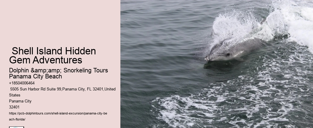  8 Fun Things To Do At Shell Island