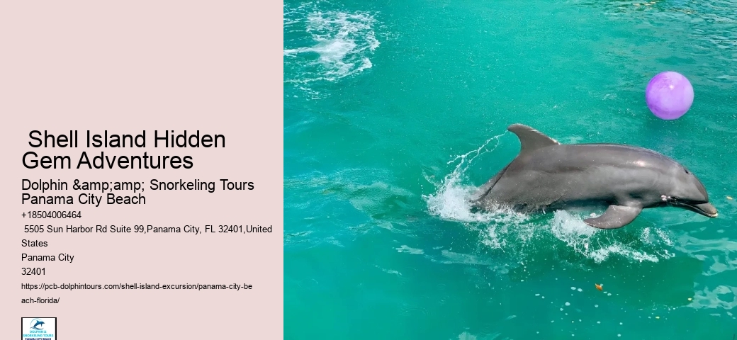  Panama City Seashore Wonder Tours