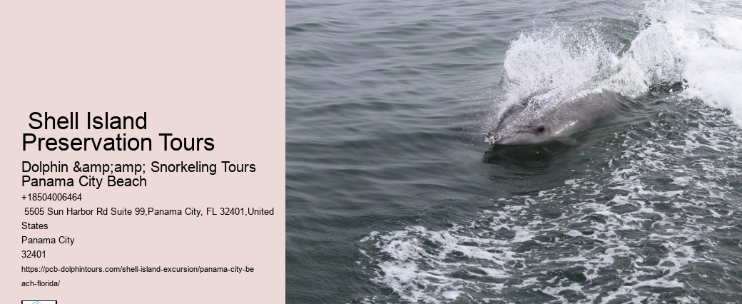  Shell Island Florida- Complete Visitor's Guide
